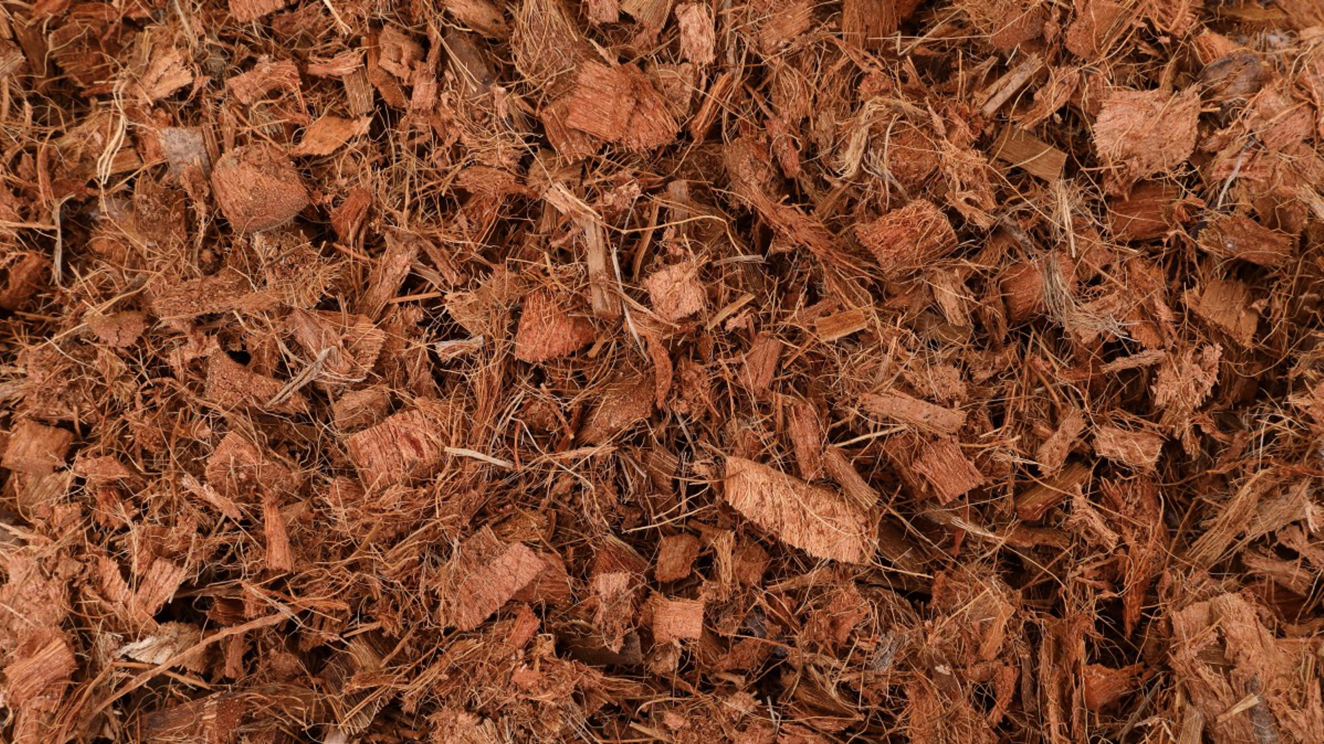 Nature Neem Products - Direct from India