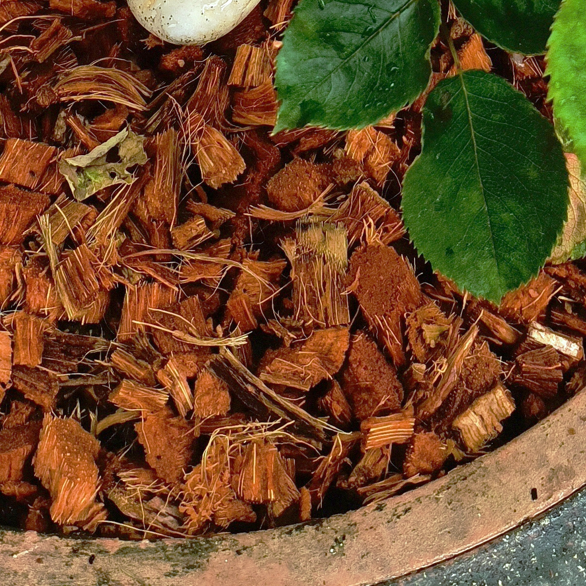 NatureNeem Coir Products - Close view of CocoChips